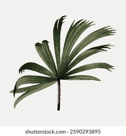 Illustration of a green palm leaf with a textured appearance on a light background. The palm leaf features detailed, lush green fronds and a simple design. Vintage botanical illustration vector.