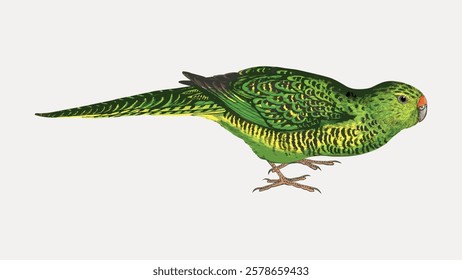 Illustration of a green parrot with detailed feathers. The parrot's vibrant green color and intricate feather patterns make it stand out. Parrot perched gracefully. Vintage bird illustration vector.