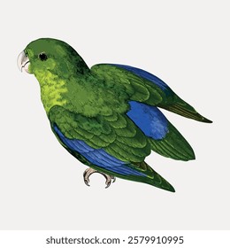 Illustration of a green parrot with a long tail and red beak. The parrot, perched gracefully, showcases vibrant green feathers. Elegant parrot art with vivid colors. Vintage bird illustration vector.