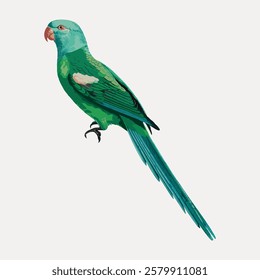 Illustration of a green parrot with a long tail. The parrot is perched, showcasing vibrant green feathers. The parrot's detailed feathers are eye-catching. Vintage bird illustration vector.