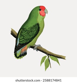 Illustration of a green parrot with a red head perched on a branch. The parrot's vibrant green feathers and red head stand out. Parrot on a branch with leaves. Vintage bird illustration vector.