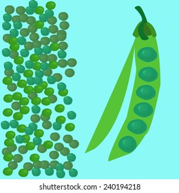 illustration of green peas