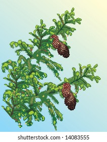 Illustration mit grünem Kiefernzweig auf blauem Hintergrund