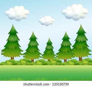 Illustration of the green pine trees