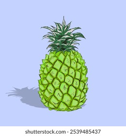 illustration of green pineapple fruit with leaves on blue background