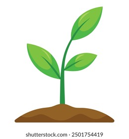 Illustration of green plant growing