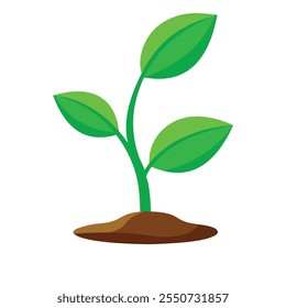 Illustration of  green plant growing on white background
