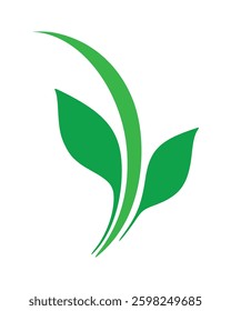 Illustration of green plant with leaves and stem curving upward. Clean eco-friendly design.