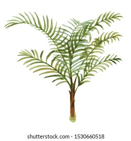illustration of the green plant on the white background