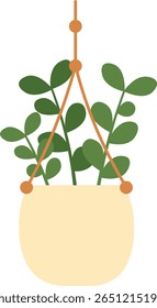 Illustration of a green plant with round leaves in a beige hanging pot. The design features a simple, minimalist style with a focus on natural decor and indoor gardening