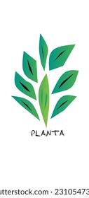 Illustration of a green plant with the words Spanish for the plant " Planta "