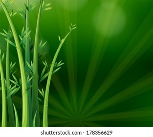 Illustration der grünen Pflanzen
