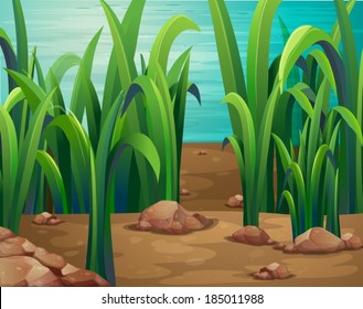 Illustration of the green plants along the river