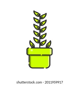 illustration of green plants for decoration in interior design or others with simple illustrations (for design needs that require illustrations of green plants)