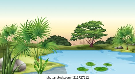 Illustration of the green plants surrounding the pond