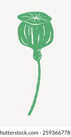 Illustration of a green poppy seed pod with a long stem. The poppy seed pod is stylized and simple, featuring a distinctive cap and elongated form. Isolated vector illustration.