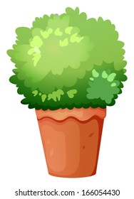 Illustration of a green potted plant on a white background