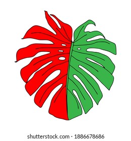 Ilustración de una monastera de hojas verdes y rojas aislada en un fondo blanco