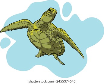 illustration of green sea turtle swimming on the ocean