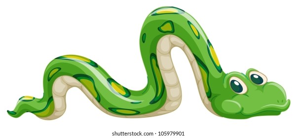 illustration of green snake on a white background