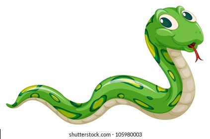 illustration of green snake on a white background
