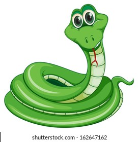 Illustration of a green snake on a white background