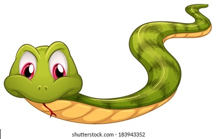 Illustration of a green snake on a white background