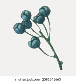 Illustration of a green stem with clusters of round blue berries. Simple, minimalist design with blue berries and green stem on a light background. Vintage flower illustration isolated, vector.