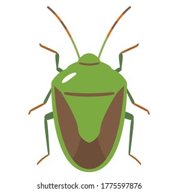 Illustration of a green stink bug