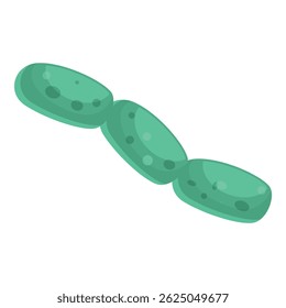 Illustration of green streptococcus bacteria forming a chain through cell division