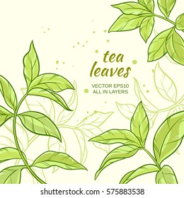 Illustration with green tea leaves on color background