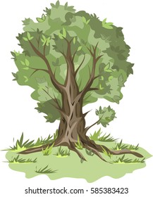 Illustration of green tree 
