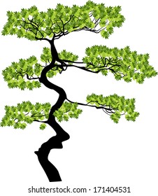 illustration with green tree isolated on white background