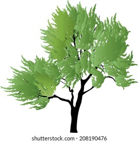 ilustración con árbol verde aislado en fondo blanco