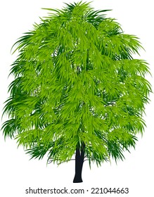 Abbildung mit grünem Baum einzeln auf weißem Hintergrund