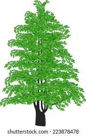 illustration with green tree isolated on white background