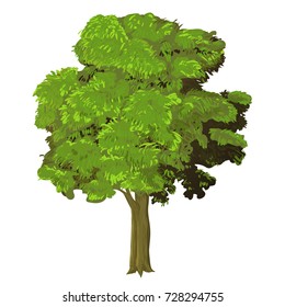 Illustration of green tree  Natural plant green leaf tree. Nature environment green trees organic spring forest garden abstract wood park-vector illustration.
