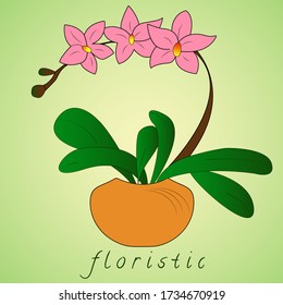 Illustration of a green tree on an isolated background.
