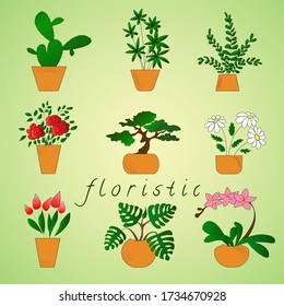Illustration of a green tree on an isolated background.