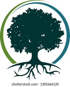 Illustration of a green tree with roots