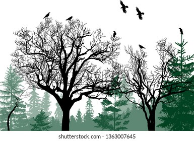 illustration with green trees forest isolated on white background