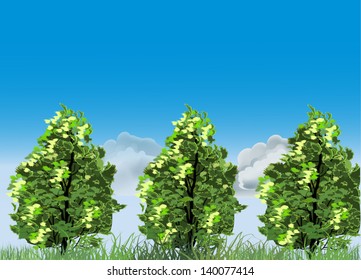 Illustration mit grünen Bäumen auf Gras und Wolken auf blauem Himmel