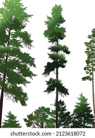 illustration with green trees isolated on white background