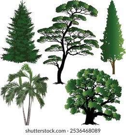 ilustração com árvores verdes isoladas sobre fundo branco