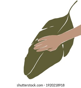Illustration of green tropical leaf with the hand on it