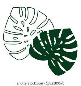 illustration of a green tropical palm leaves