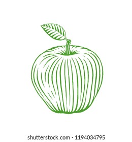 Illustration of Green Vectorized Ink Sketch of Apple isolated on a White Background