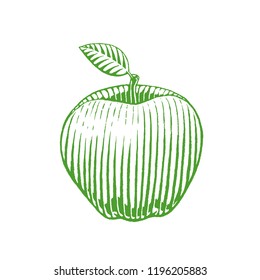 Ilustración del boceto verde de tinta vectorizada de Apple aislado en un fondo blanco
