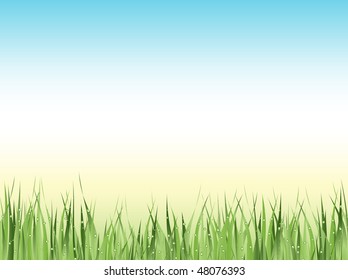 Illustration of green wet grass against blue sky with copyspace