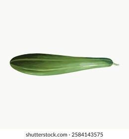 Illustration of a green zucchini on a plain background. The zucchini is elongated and smooth. Fresh zucchini depicted in a simple, clear style. Vintage vegetable illustration vector.